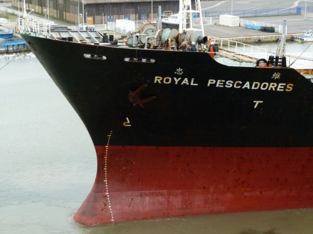 bulberoyalpescadores (01).JPG